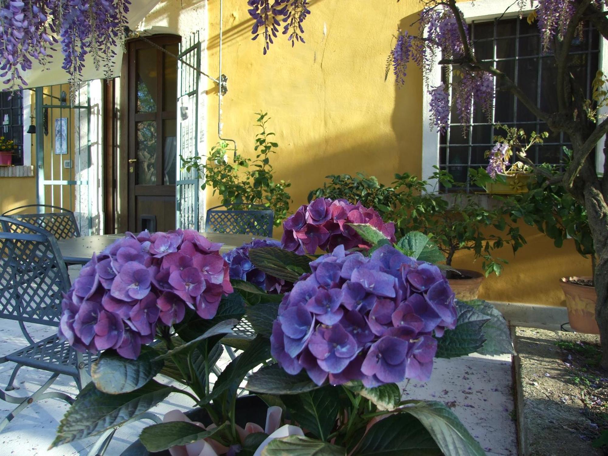 B&B Casacasina Monzambano Exterior foto