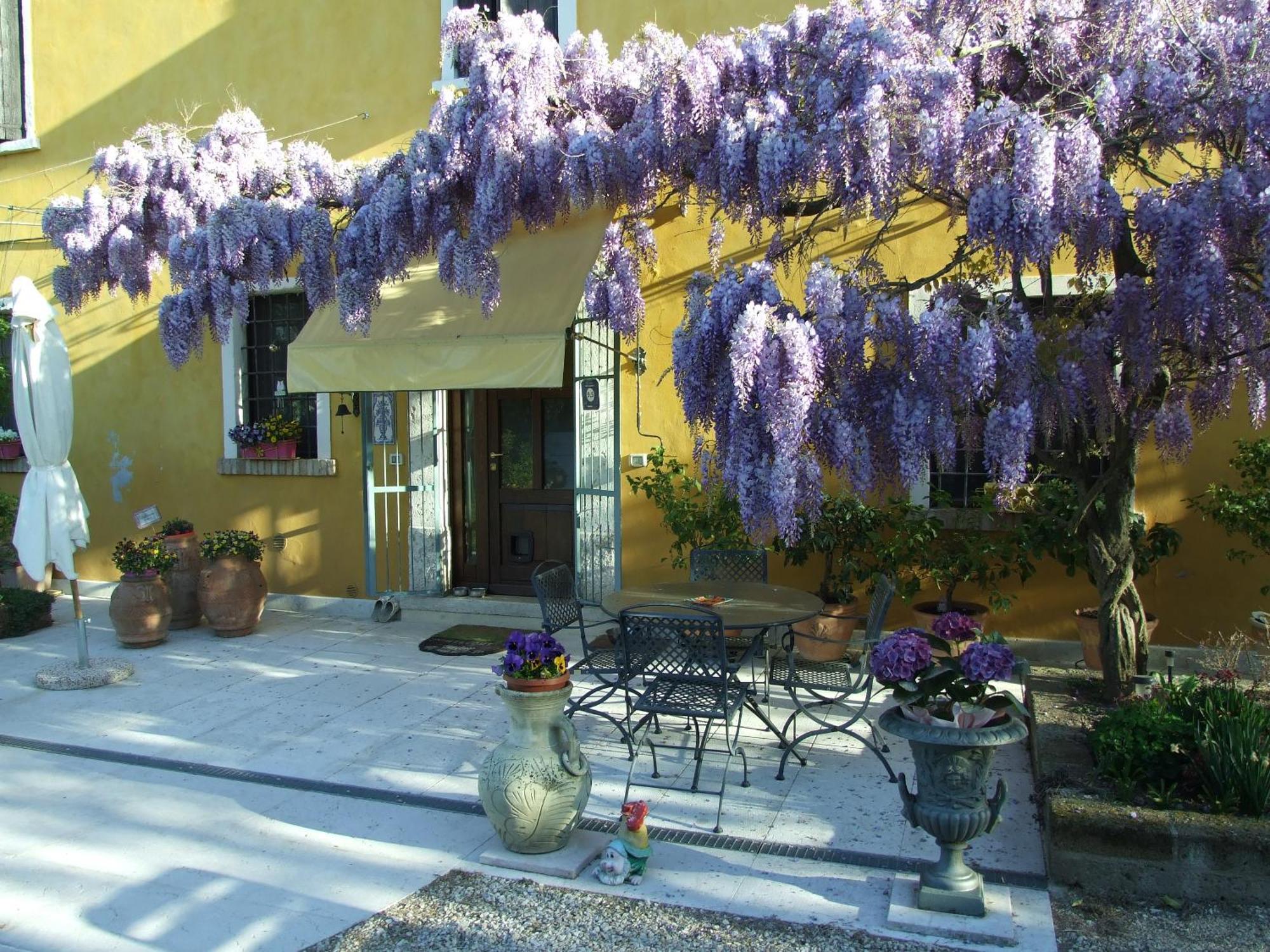 B&B Casacasina Monzambano Exterior foto
