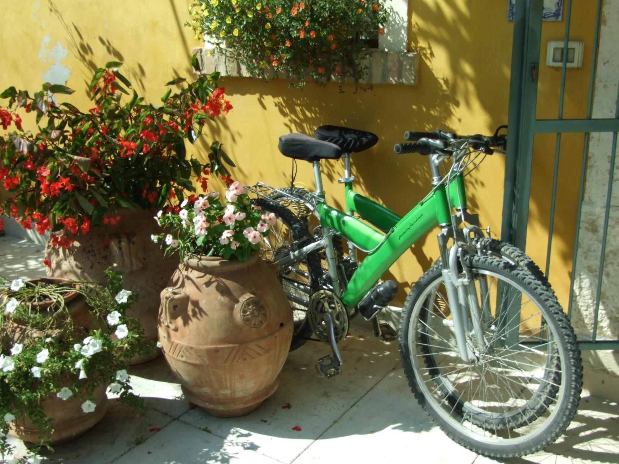 B&B Casacasina Monzambano Exterior foto
